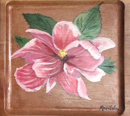 pink hibiscus  on plate